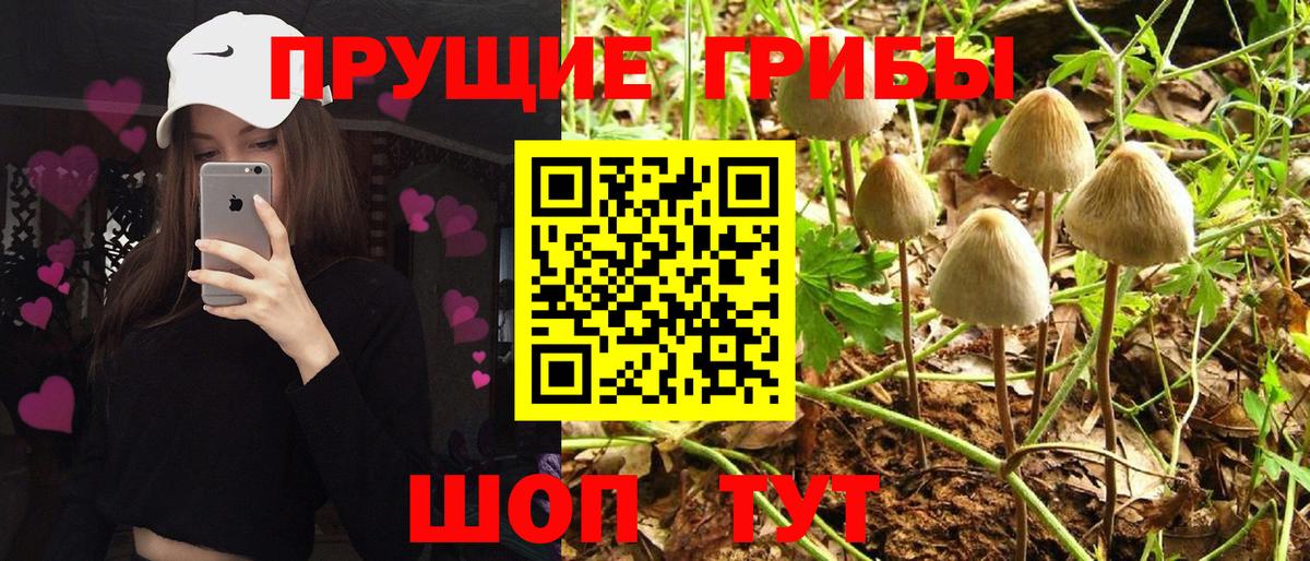 купить наркотик  Вход с VPN  Белебей  Псилоцибиновые грибы мухоморы 